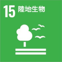 Sdg zh